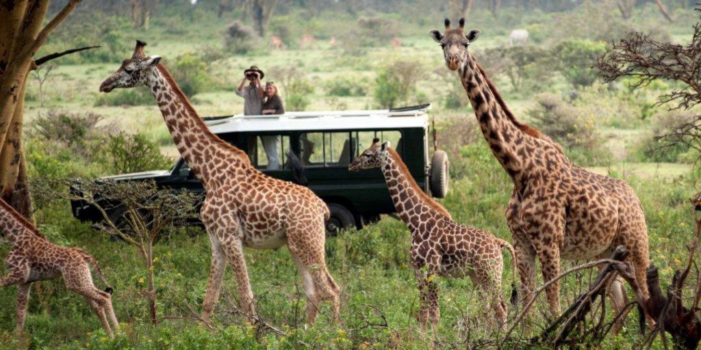 5 Days Masai Mara Luxury Safari
