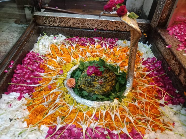 Jai Shri Shankar 768x576