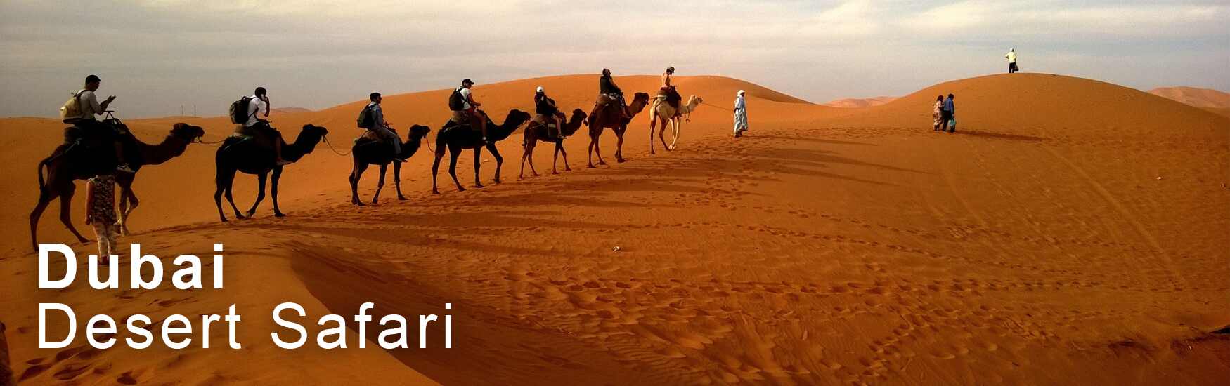 Dubai Desert Safari Tour Package